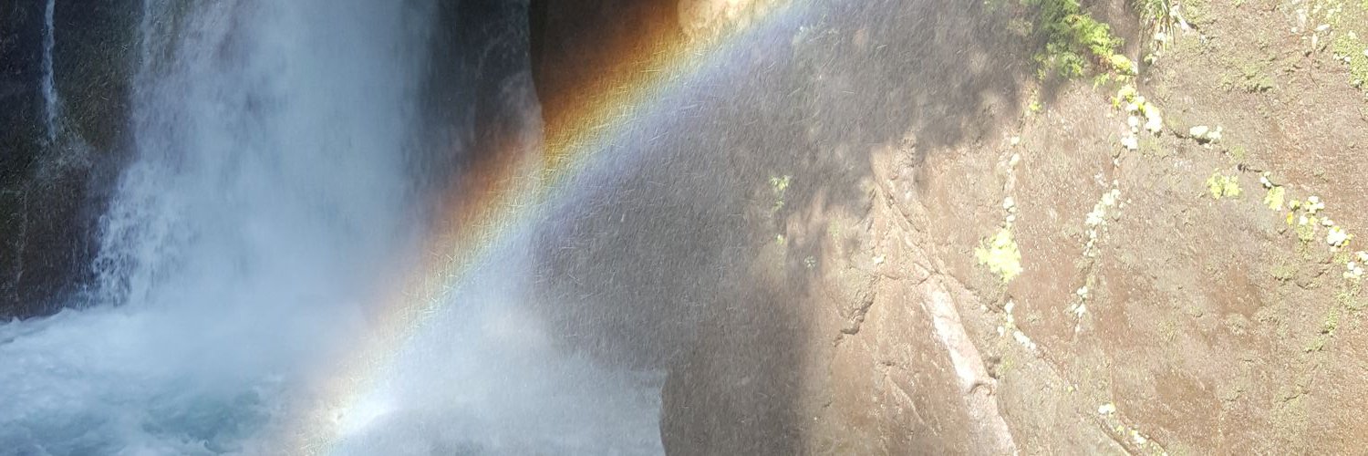 waterrosey's profile banner image