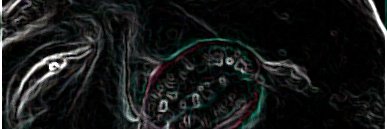 juantored banner