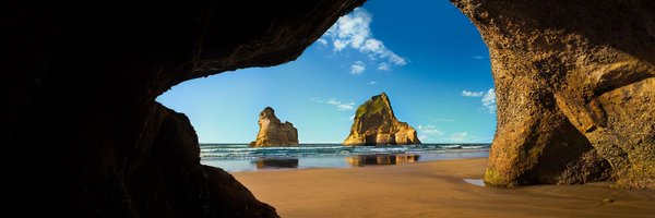 wickedypumpkin Profile Banner