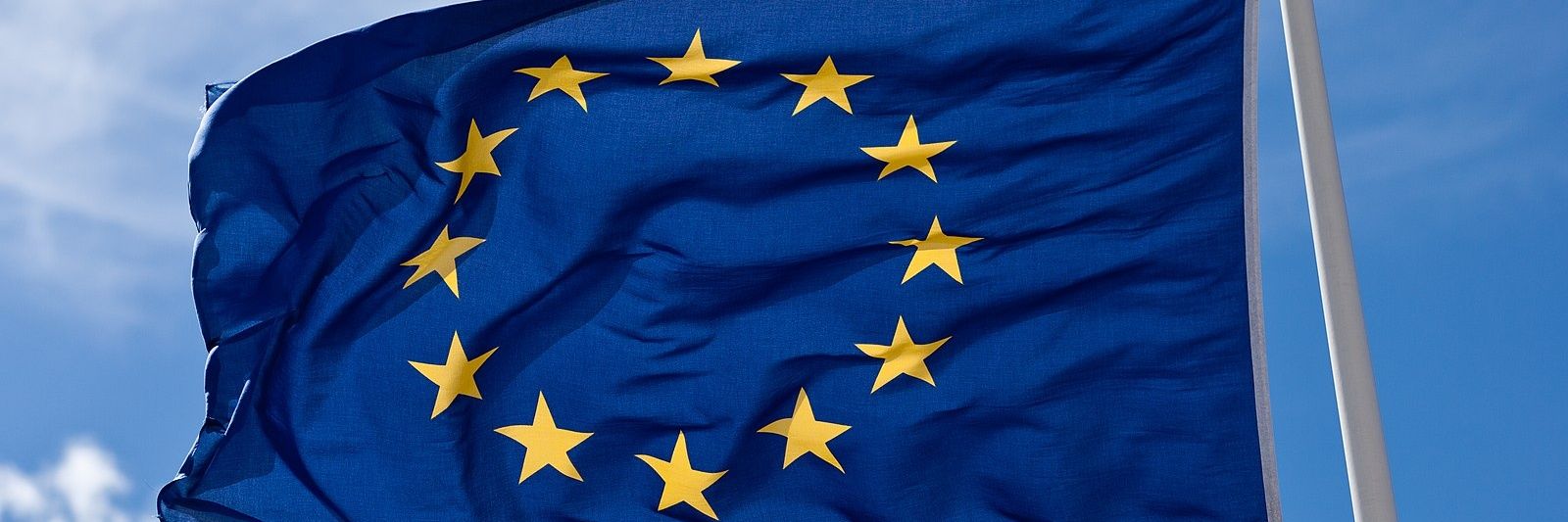 Flagseferi ♻ banner