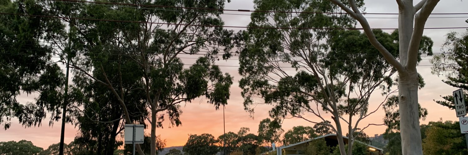 Dr Nick Falkner banner