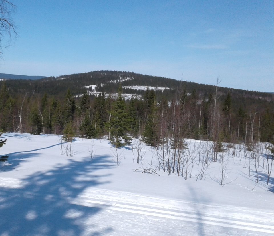 Tee Blom🇫🇮 🇺🇦 banner