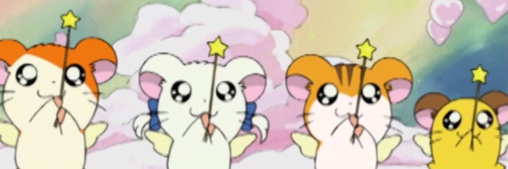 seichogrowglow's profile banner image