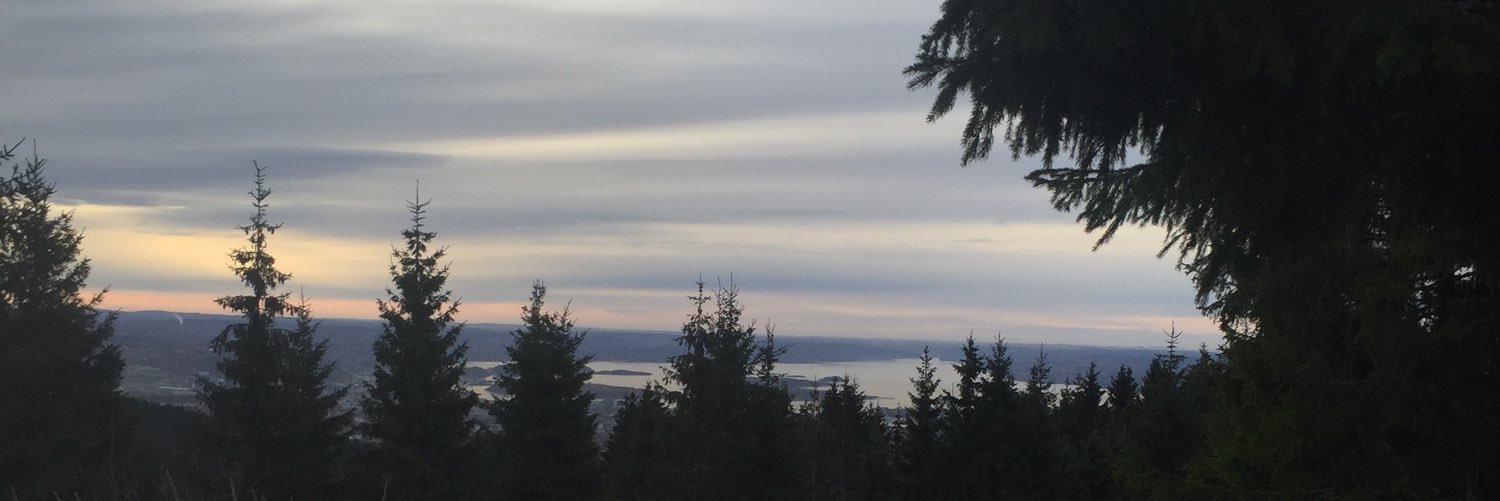 Stian Berger Røsland banner