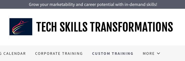 Tech Skills Transformations LLC banner
