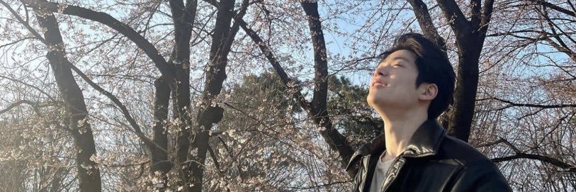 poyacart's profile banner image
