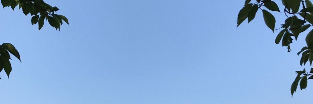 mrmcoron's profile banner image