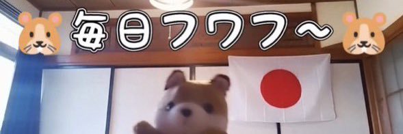 優しい怒らない詰めない@1週間猫化@ムードメーカー@生活@i don't eat@旦那とポイ活 banner