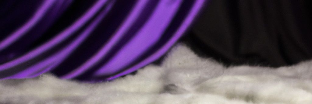Helmut Zemo banner