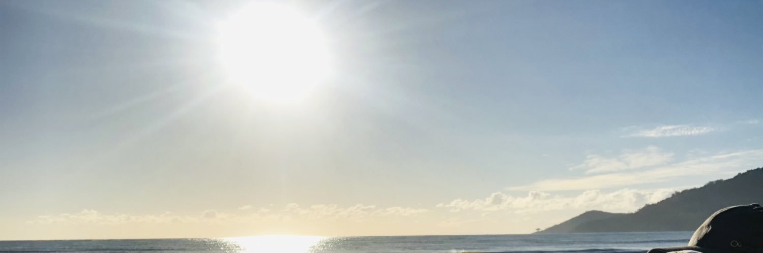 StringariSalete's profile banner image
