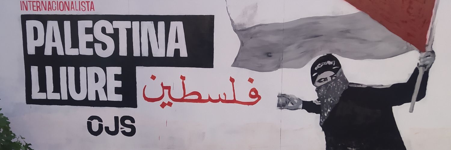 Punky Antifa ☭ banner