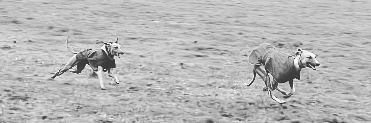 AllyTomlins's profile banner image