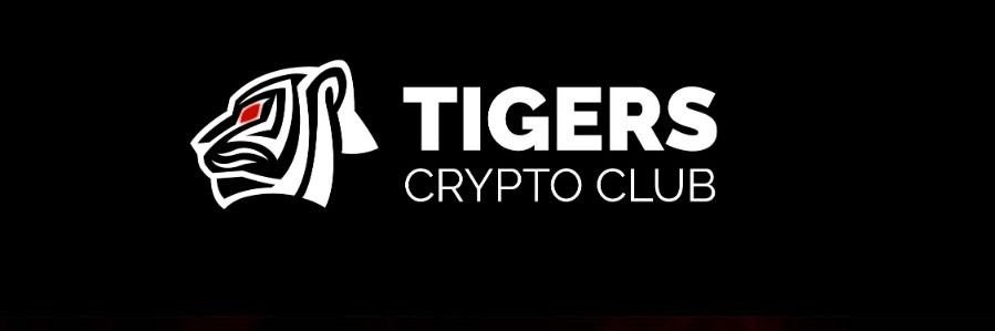 ACE 🌞👀 banner