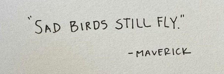 flightless bird 🐓 banner