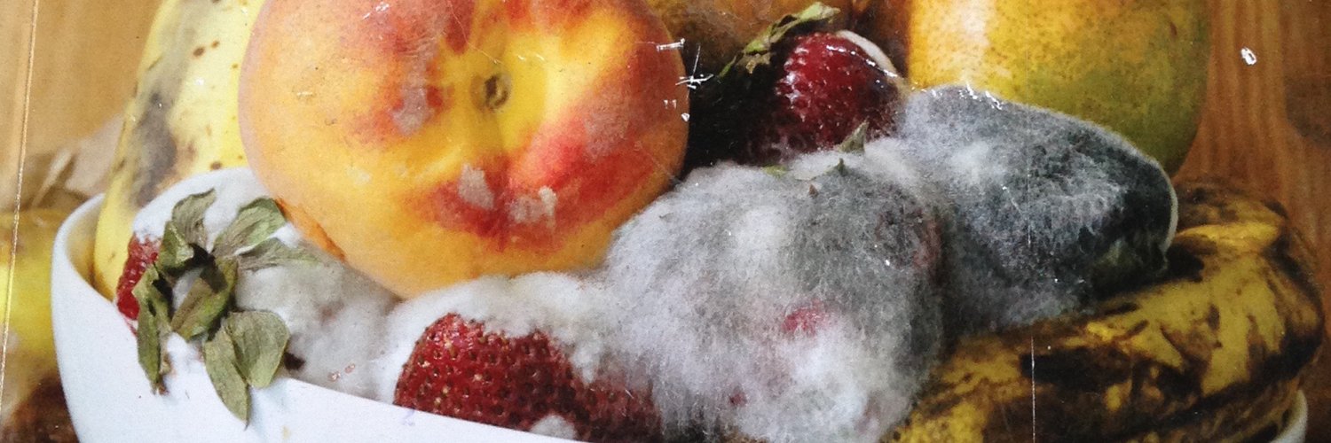 Pac • Calory banner