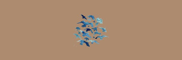 posy . banner