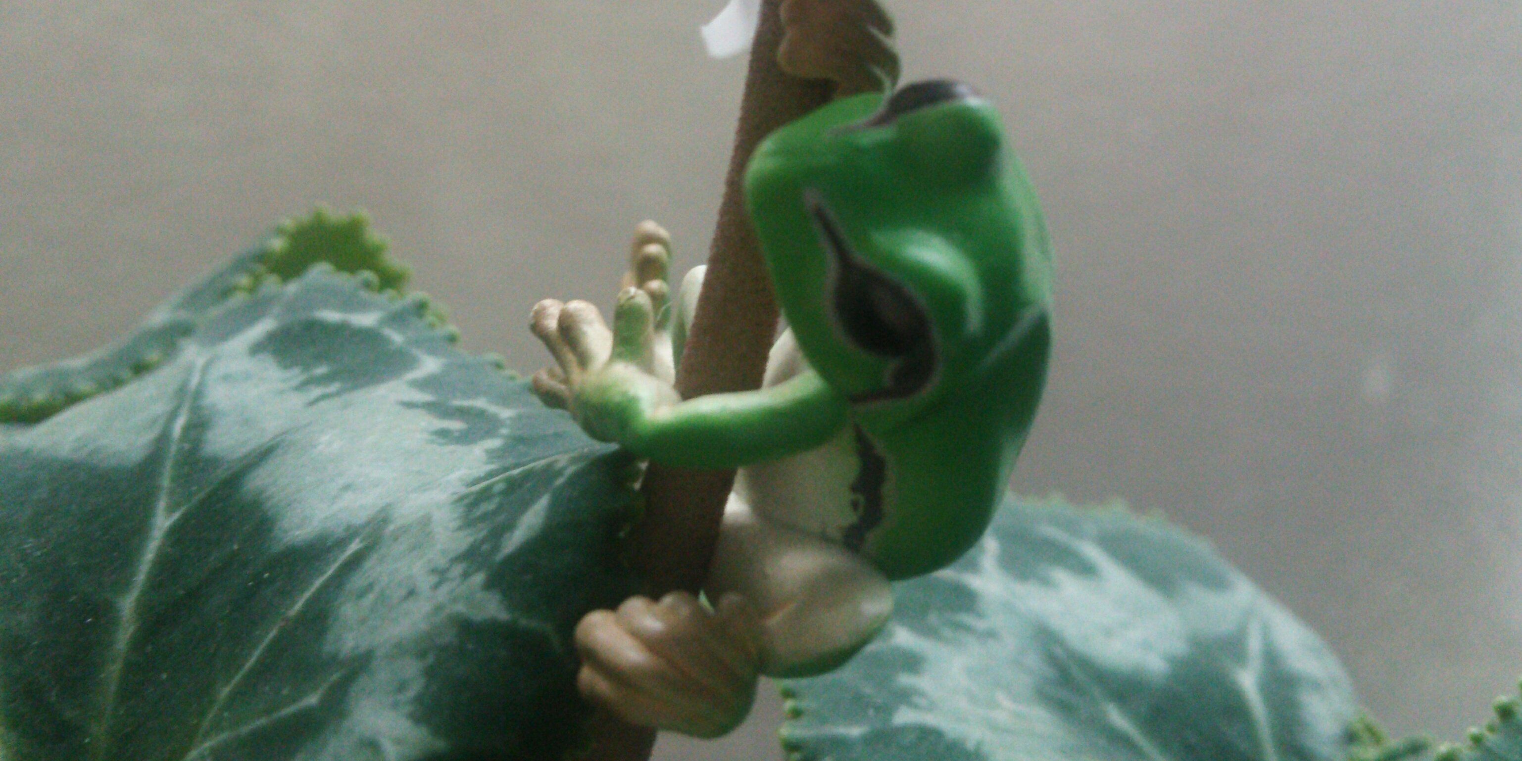 hinahirochi's profile banner image