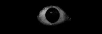 ZHEFYUU's profile banner image