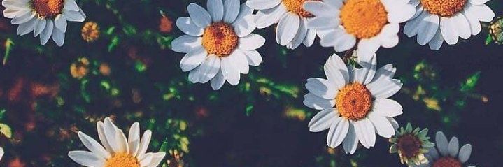 elmarini_ew's profile banner image