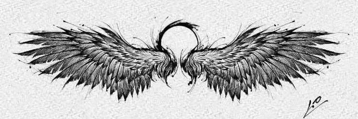 Abelardo banner