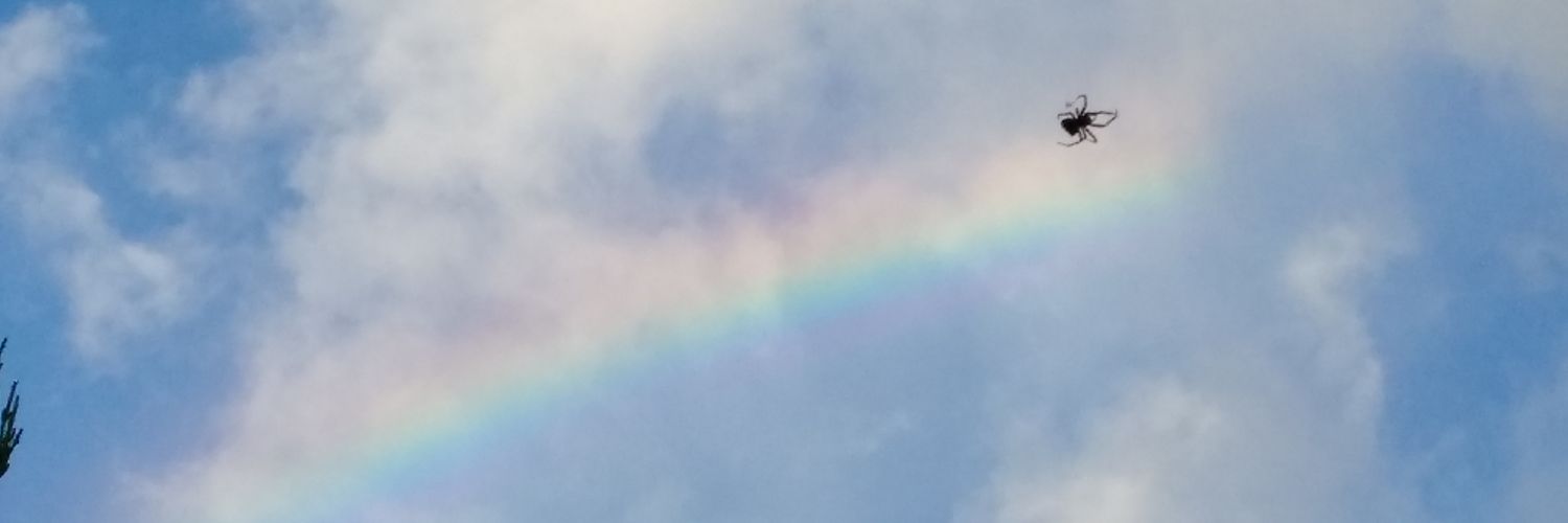 うりのはは banner