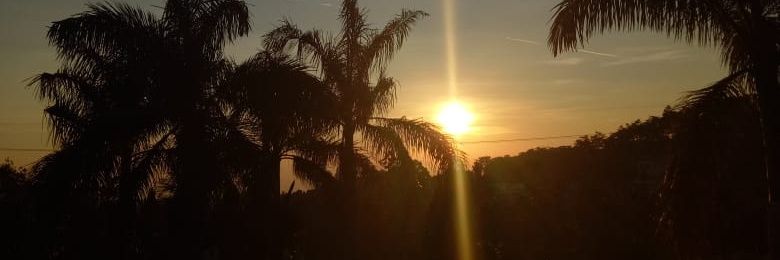 davidmuamar2's profile banner image