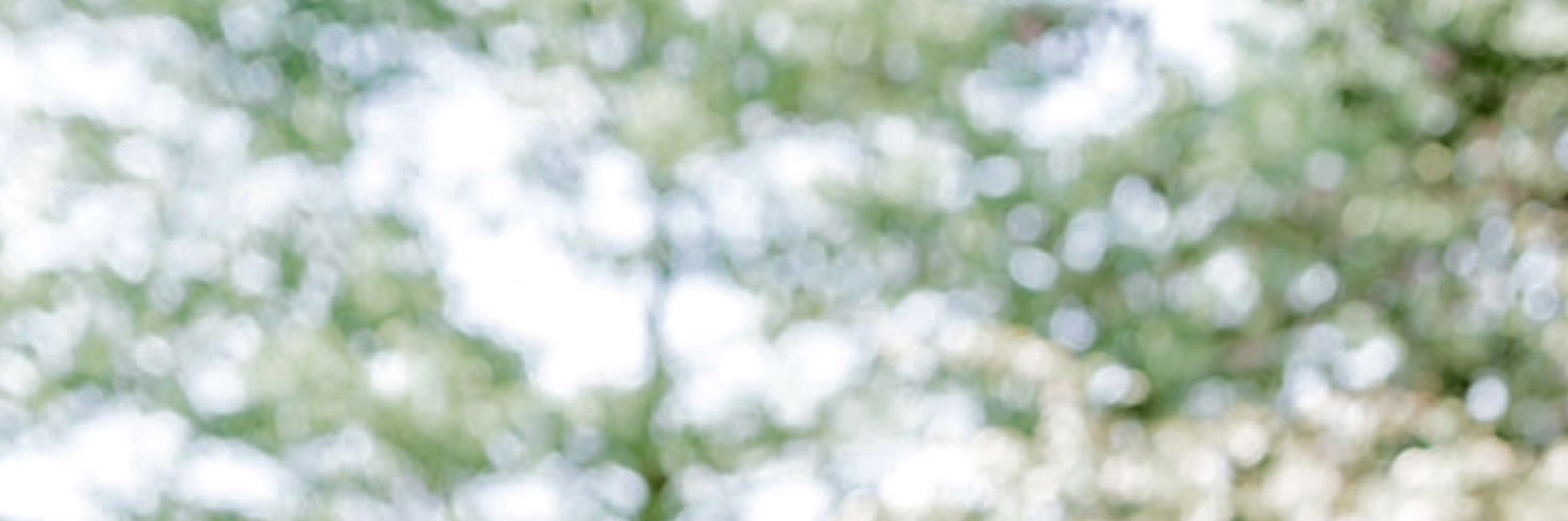 RelusBreeuwsma's profile banner image