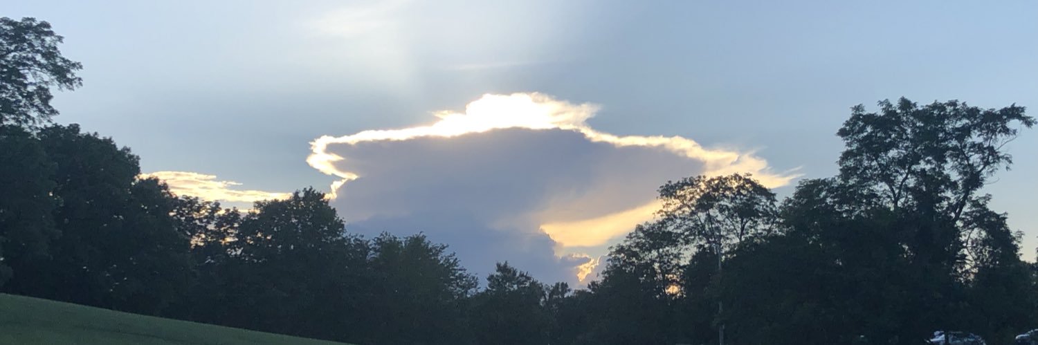 Maureen Brenner banner