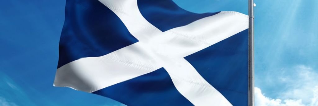 Mencey Pelicar banner