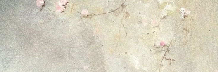 𝓡𝓱𝓮𝓲𝓷𝓪 banner
