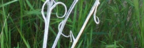 cantireta's profile banner image
