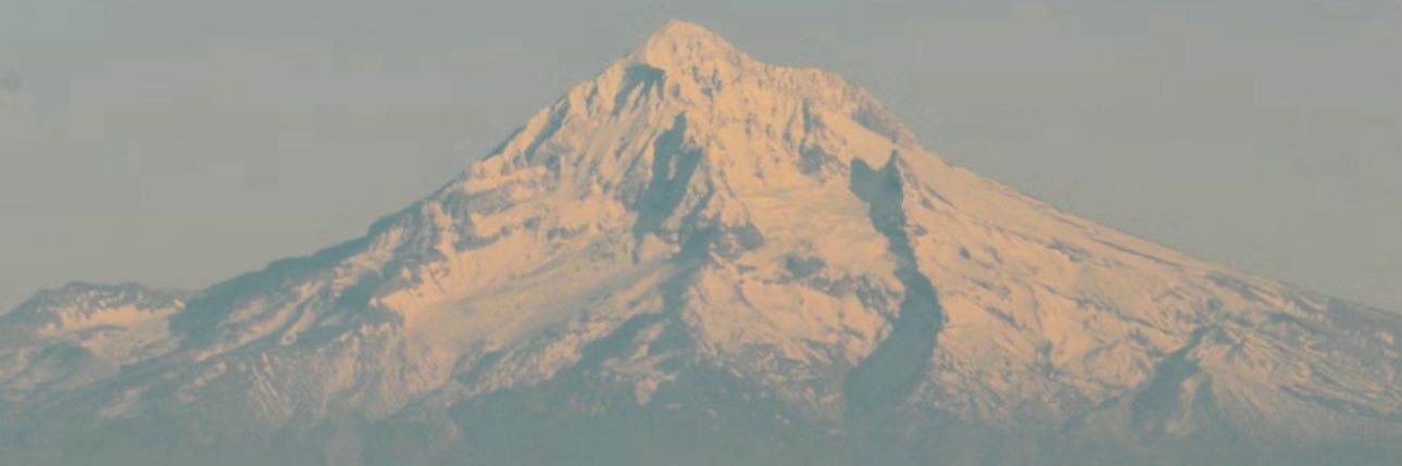 DialloMoore's profile banner image