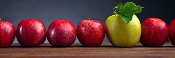 VanBaard Profile Banner