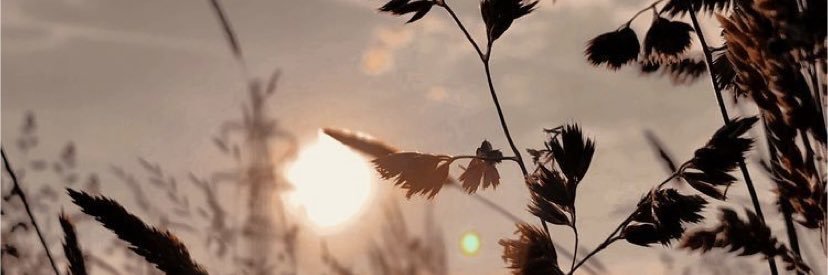 نجمه ✨. banner