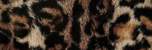 kelseytheorange's profile banner image