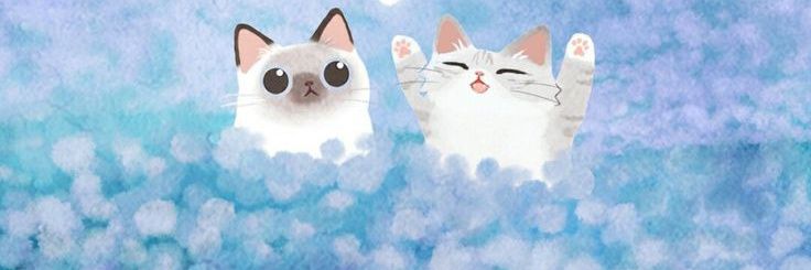difumi_'s profile banner image