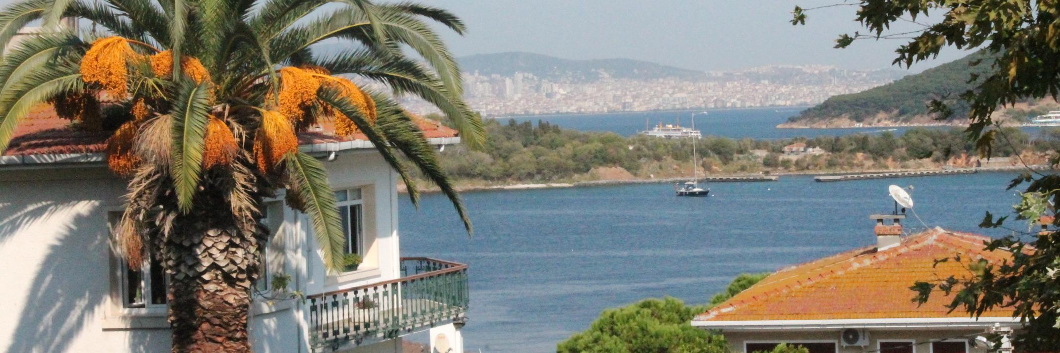 Zahide1969's profile banner image