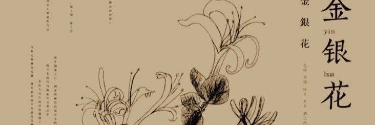 Irisha. banner