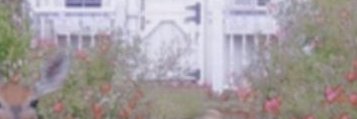 hihi banner