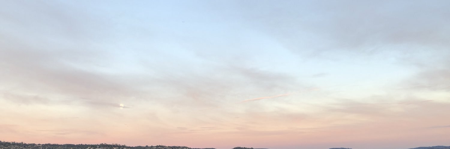 lostbeard's profile banner image