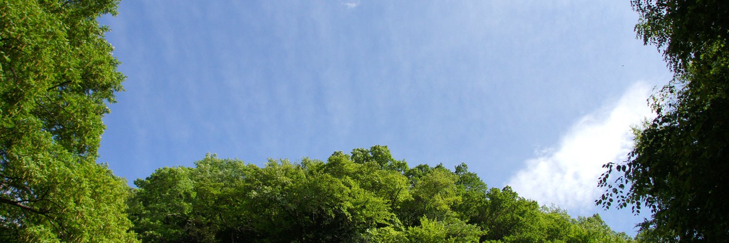 kenkobiyou's profile banner image