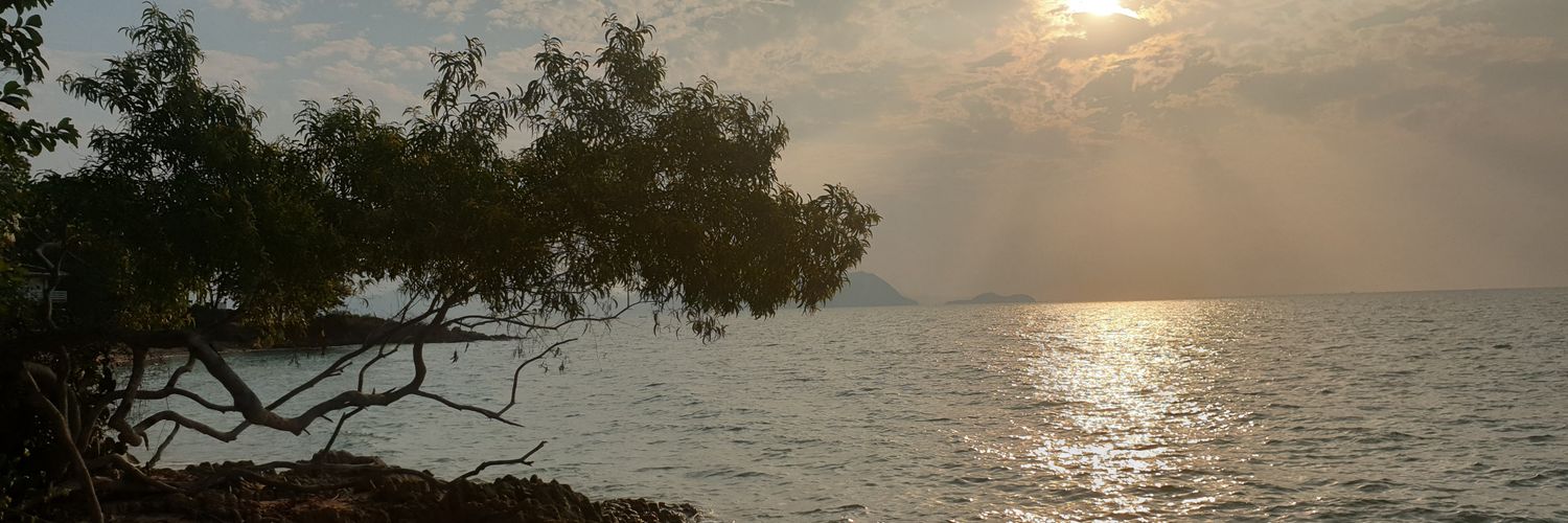 Pinkky_P_B's profile banner image