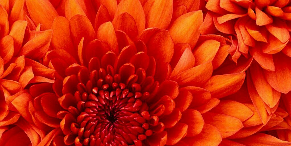 alinora725's profile banner image