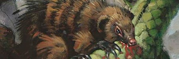 NimblestM Profile Banner