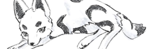 nrun_n Profile Banner