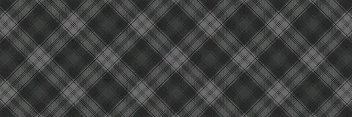 ml banner