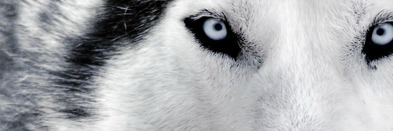 Ismagt11's profile banner image