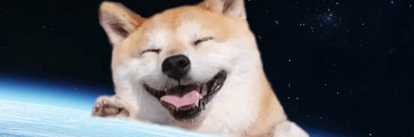 mitofoge's profile banner image