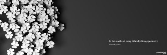 Heather Willis banner