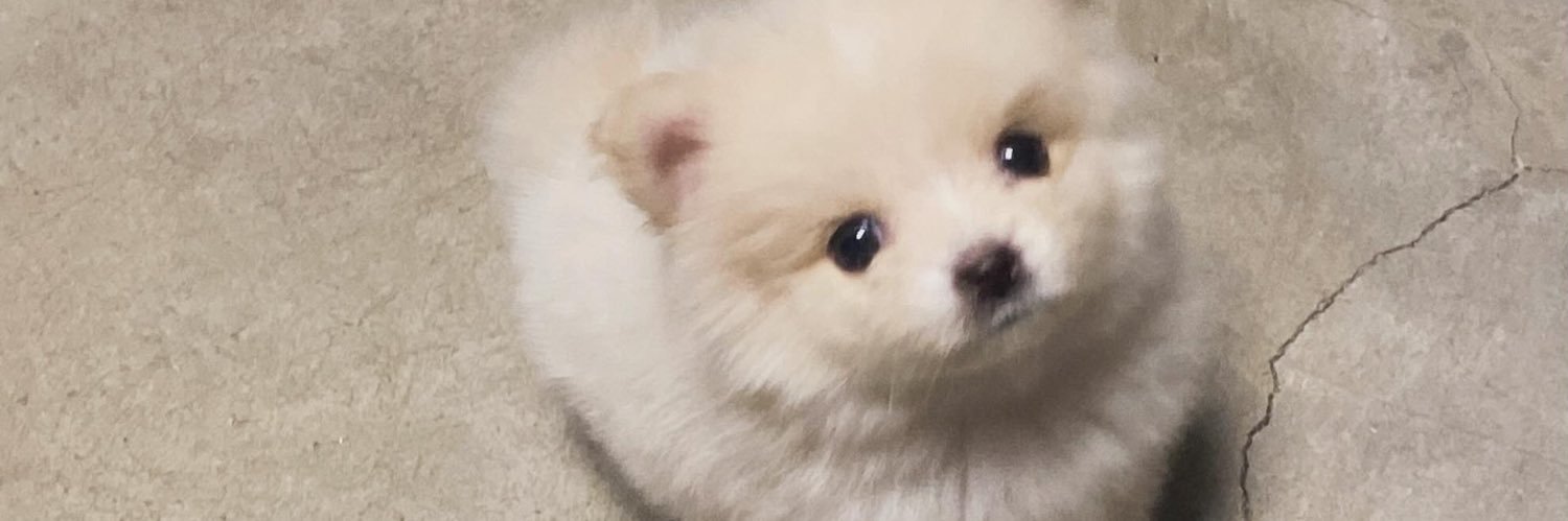 urlvlygrl_'s profile banner image
